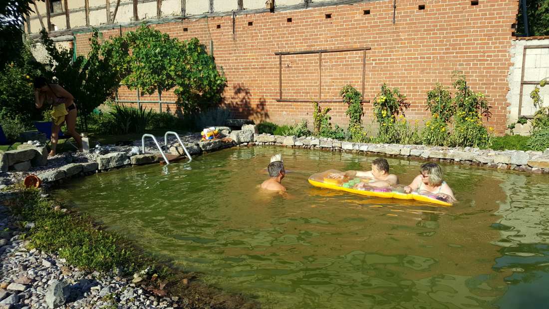 Teichreinigen Schlammsauger Schwimmteich